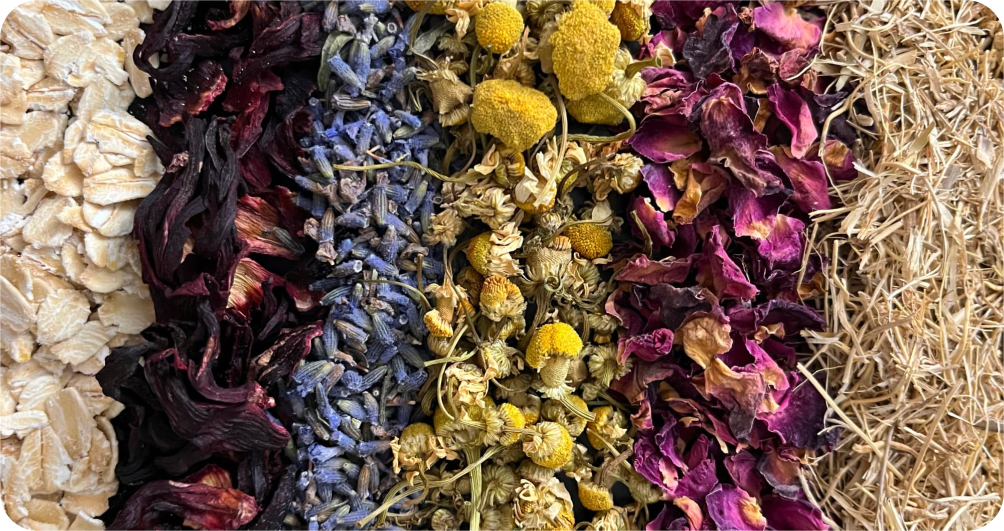 A detailed close-up of assorted dried spa ingredients, including petals and herbs, showcasing the natural elements used in luxurious bath blends.